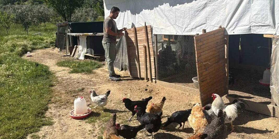 Şehirden kaçtı kendini köye attı! 27 yaşında hayvancılığa ‘Merhaba’ dedi 3